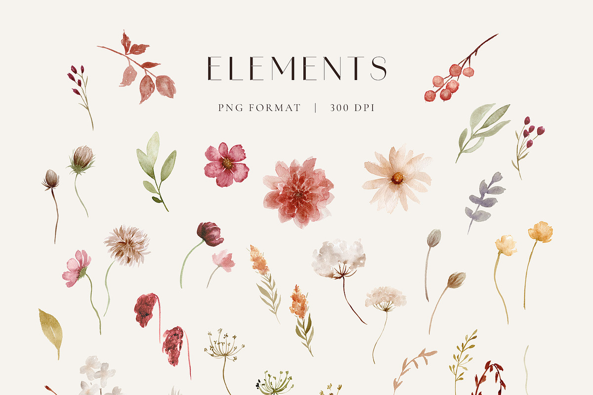 Autumn Wildflower Watercolors, a Decorative Illustration by Liliia Polos Illustration (Photo 11 of 12)
