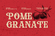 Diomag - Vintage Display Font, a Serif Font by Fype Co. (Thumbnail 5 of 6)