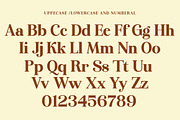 Rendey, a Serif Font by Gatype (Thumbnail 9 of 9)
