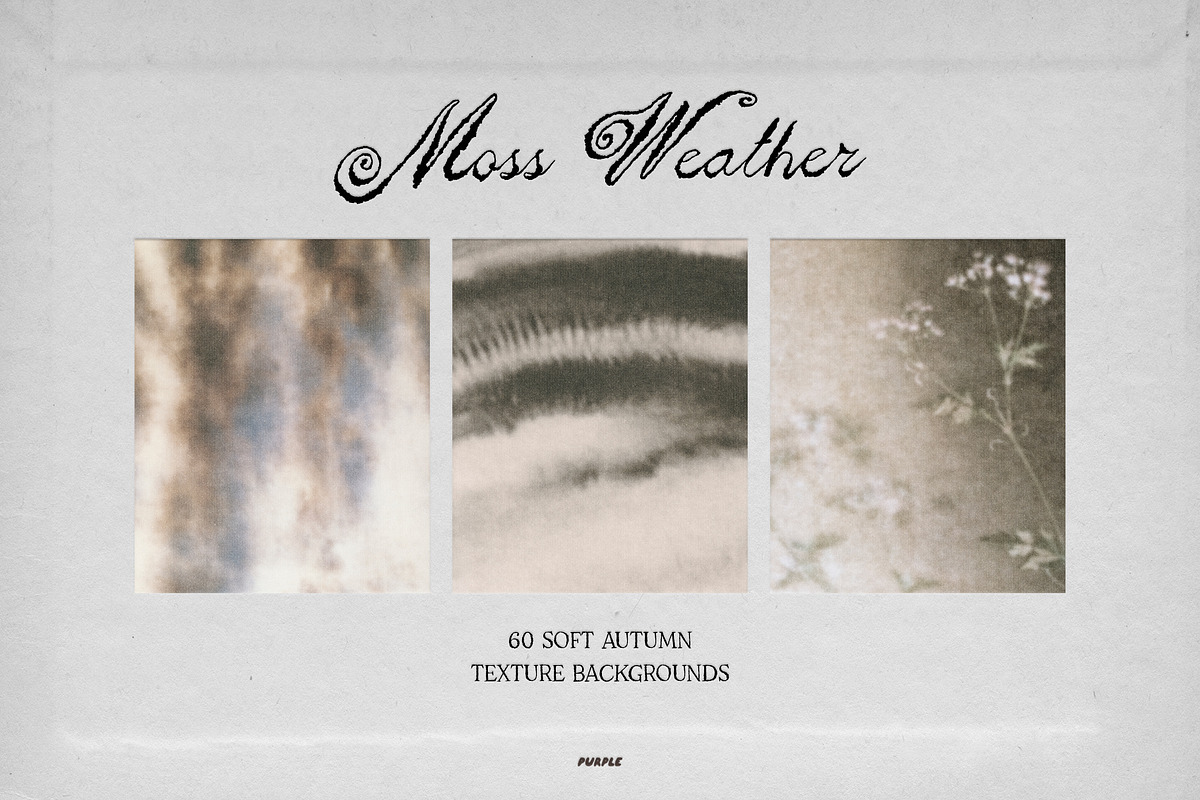 Moss Weather: Fall Backgrounds, a Texture Graphic by Purple (Photo 9 of 11)