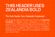 Zealandia - Sans Serif, a Sans Serif Font by Prominent & Affluent (Thumbnail 2 of 10)