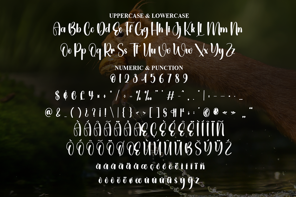 Animal | Script Font, a Handwritten Font by Scratchones (Photo 6 of 9)