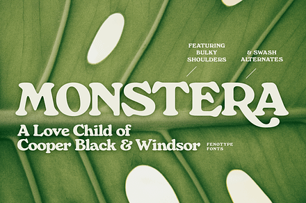 Monstera - Delicious Retro Serif