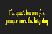 Palmarola Serif, a Serif Font by Lhotse (Thumbnail 5 of 7)
