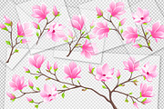SET / 8 / Magnolia Textures, 8 march, a Decorative Illustration by Nadin_Lebedeva (Thumbnail 6 of 6)