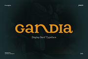 Gandia - Display Serif Typeface, a Font by Jehoo Creative (Thumbnail 1 of 10)