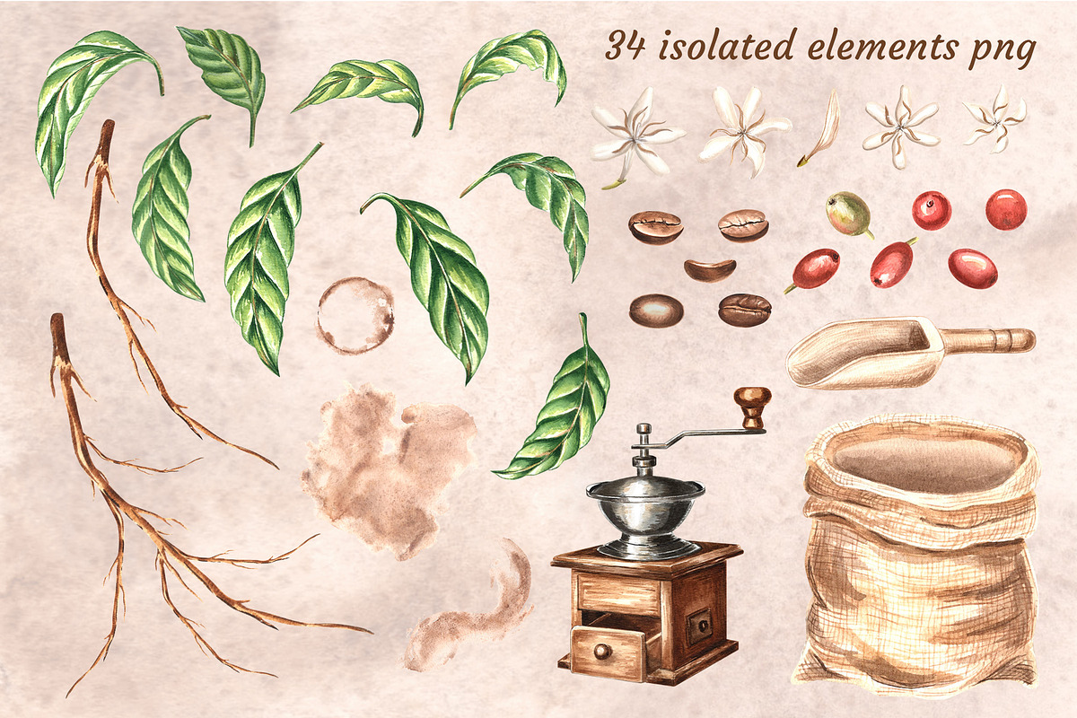 Coffee watercolor clip art set, a Food Illustration by susie-p-art (Photo 2 of 15)