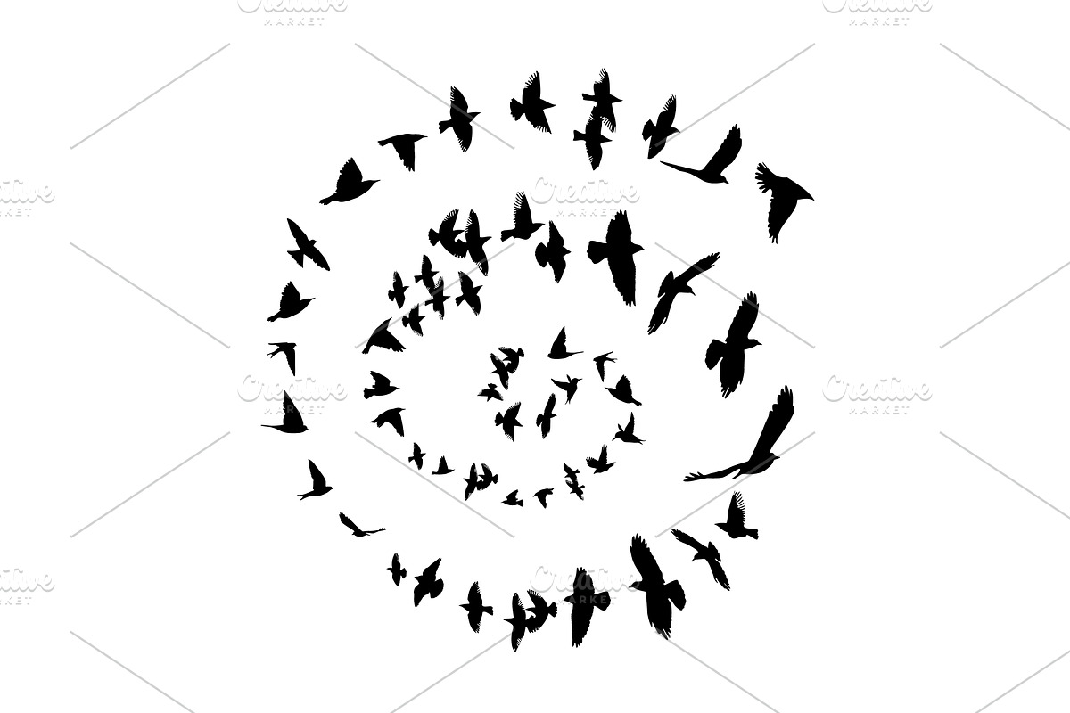 black birds flying in a circle in a, an Animal Illustration by Nenahliadava Design
