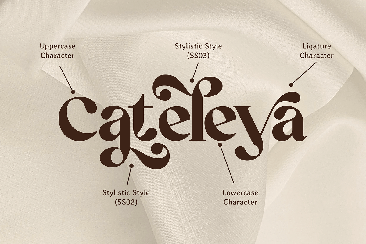 Retrofly A Retro Serif, a Serif Font by Annivers Type (Photo 4 of 10)