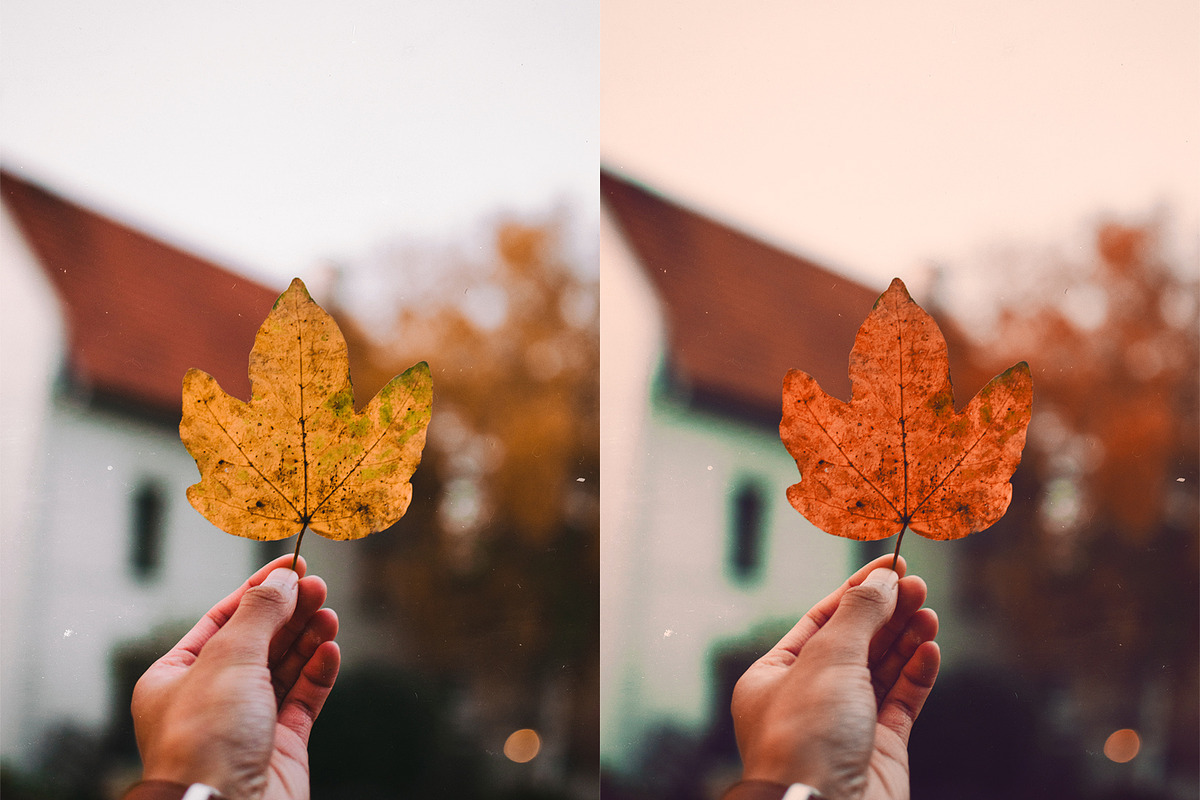 Fall - Autmun Photoshop Actions, an Action Add-On by Bato (Photo 9 of 10)