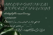 Giustina Kelani Stylish Calligraphy, a Serif Font by stylishtype.co (Thumbnail 18 of 20)