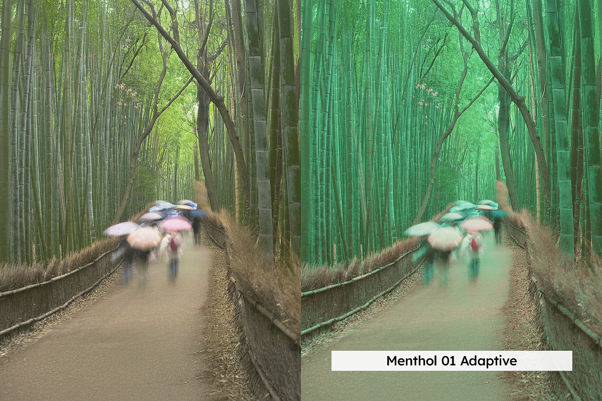 20 Minty Green Lightroom Presets, a Preset Add-On by SparkleStock (Photo 8 of 13)
