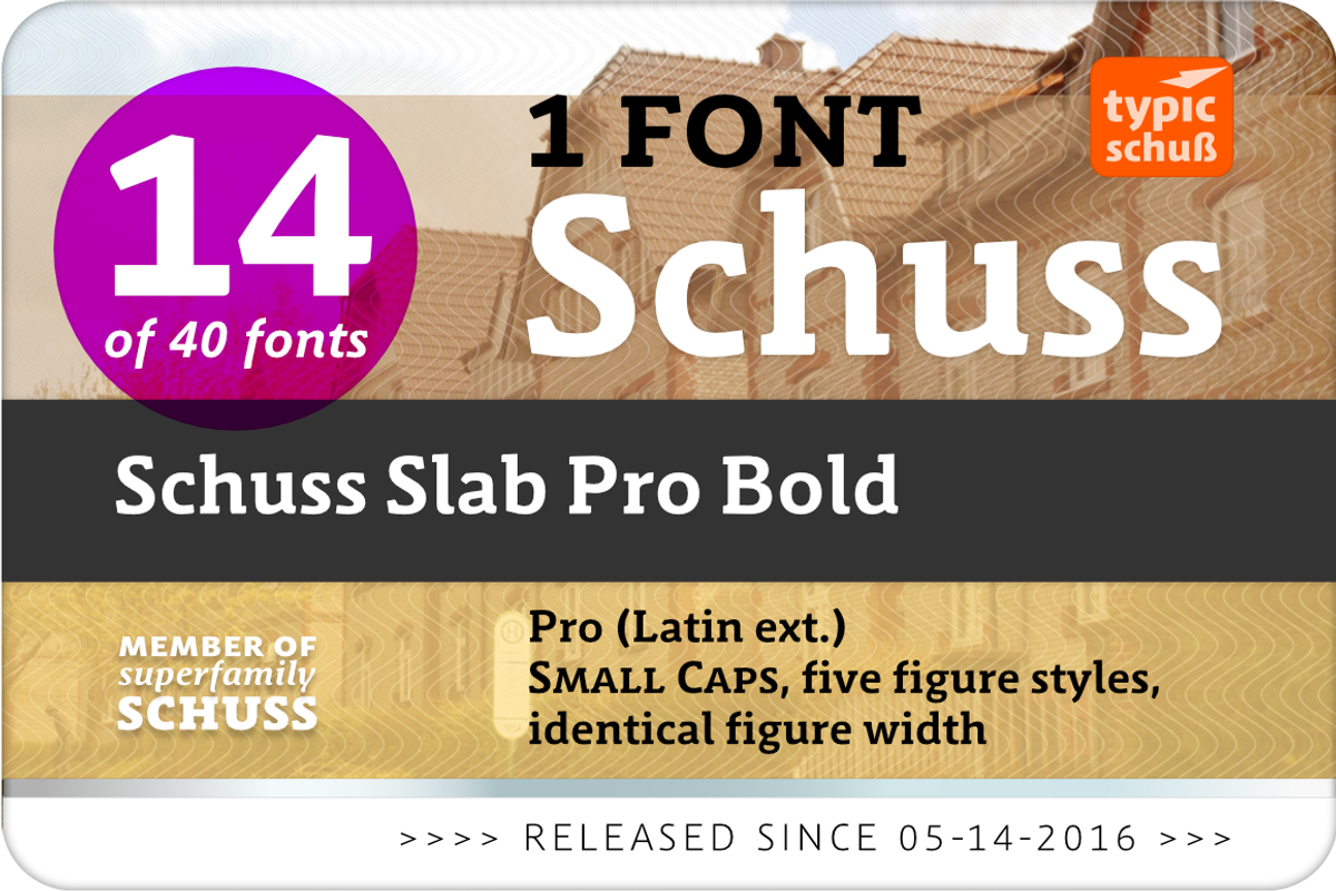 SchussSlabProBold No.14 (1 Font), a Slab Serif Font by typic schuss (Photo 2 of 6)