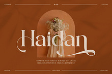 Haidan || Moden Classy Serif Font