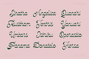 NCL Kisgade — Luxury Font, a Script Font by Enxyclo Studio (Thumbnail 13 of 20)
