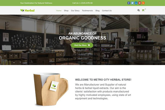 Responsive Organic WordPres - Herbal preview 7