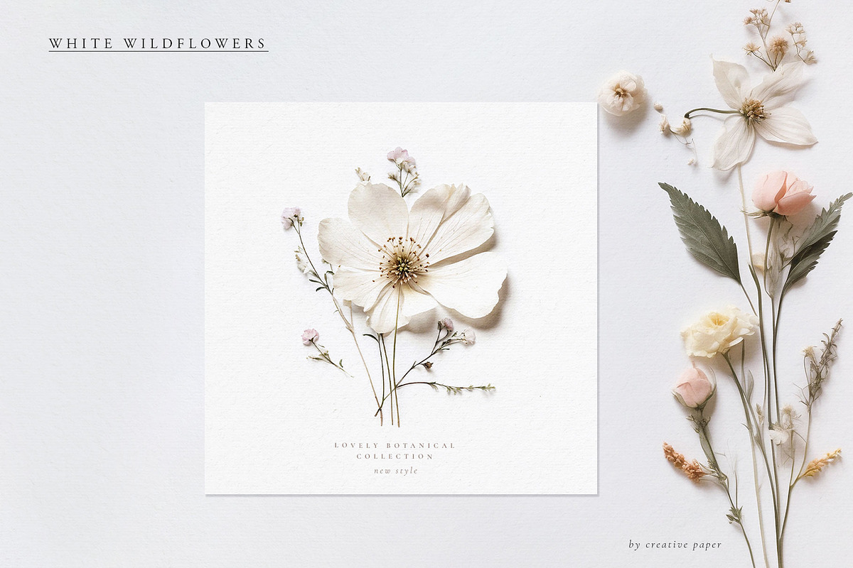 Pressed Flowers (Png) Elements, a Background Graphic by by creative paper (Photo 10 of 13)