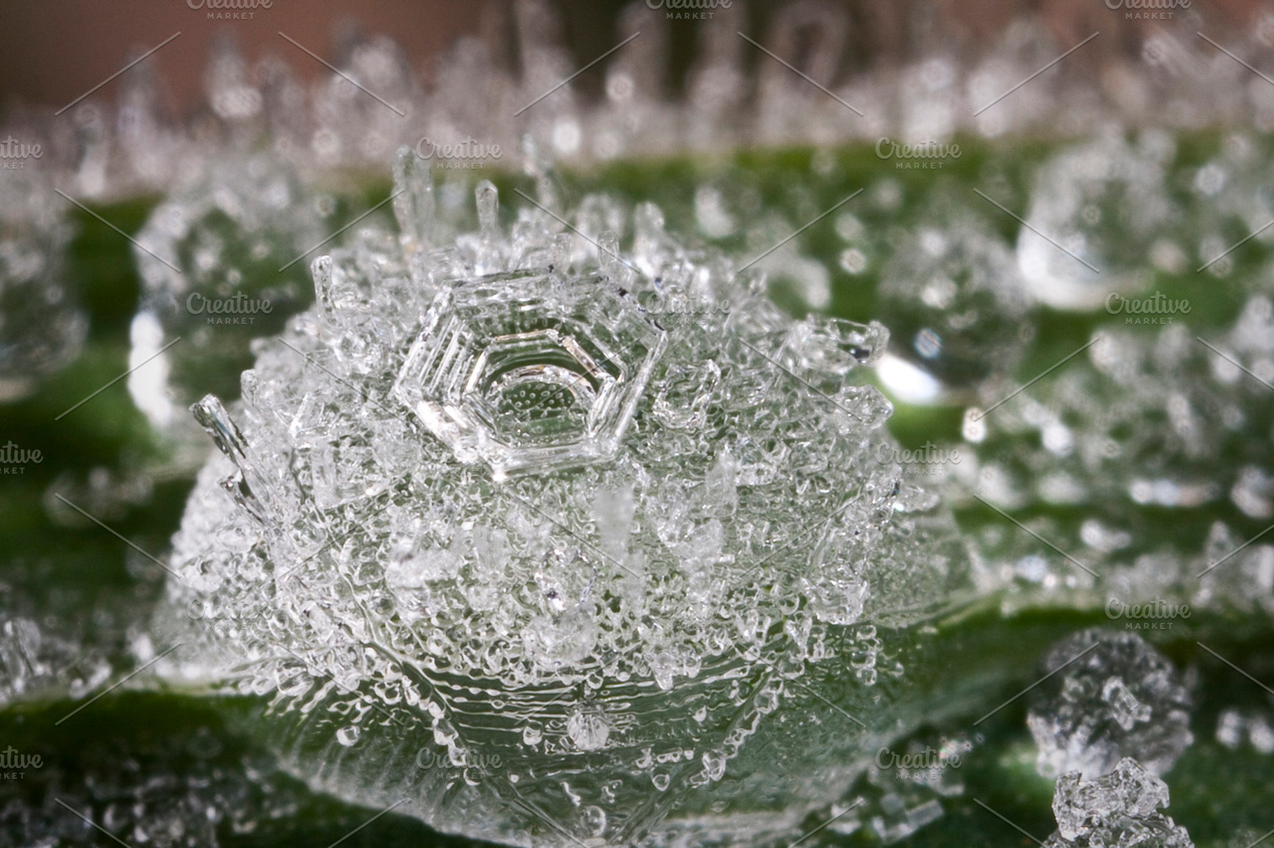 Crystallized Dew Droplets Stock Photo