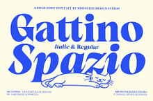 Gattino Spazio - Bold Serif Typeface