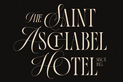 La Primera Ligature Serif, a Serif Font by Letteralle Studios (Thumbnail 3 of 13)