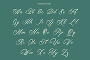 Histogram Script Font, a Script Font by Arendxstudio (Thumbnail 3 of 8)