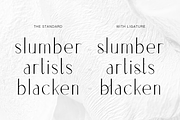 Vlasta Minimal Modern Sans Display, a Sans Serif Font by Cloverons (Thumbnail 3 of 14)