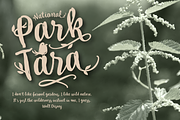 My Tara, a Script Font by Posterizer KG (Thumbnail 2 of 9)