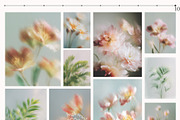 Airy flowers- Blurred floral set, a Background Graphic by Pamyatka Shop (Thumbnail 10 of 11)