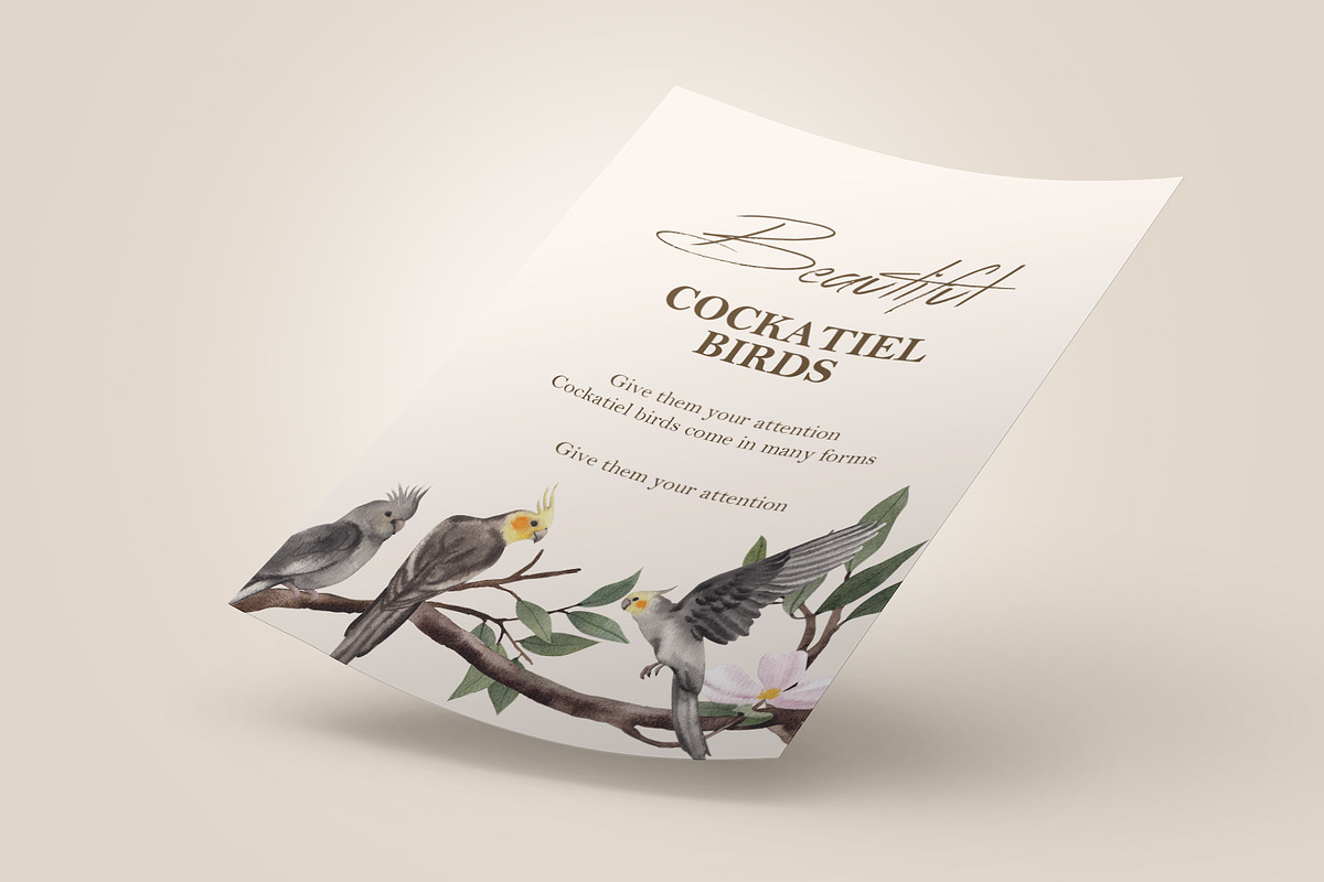 Cockatiel Birds Watercolor, an Animal Illustration by CreativeValuation (Photo 8 of 15)