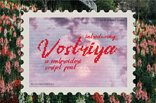 Vostriya | A Embroidery Script Font