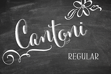 Cantoni Hand Lettered Font
