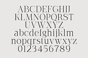 The Letter Editorial – Modern Serif, a Serif Font by Lettertype Studio (Thumbnail 11 of 16)