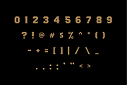 Butcher, a Serif Font by Studio One Four (Thumbnail 3 of 5)