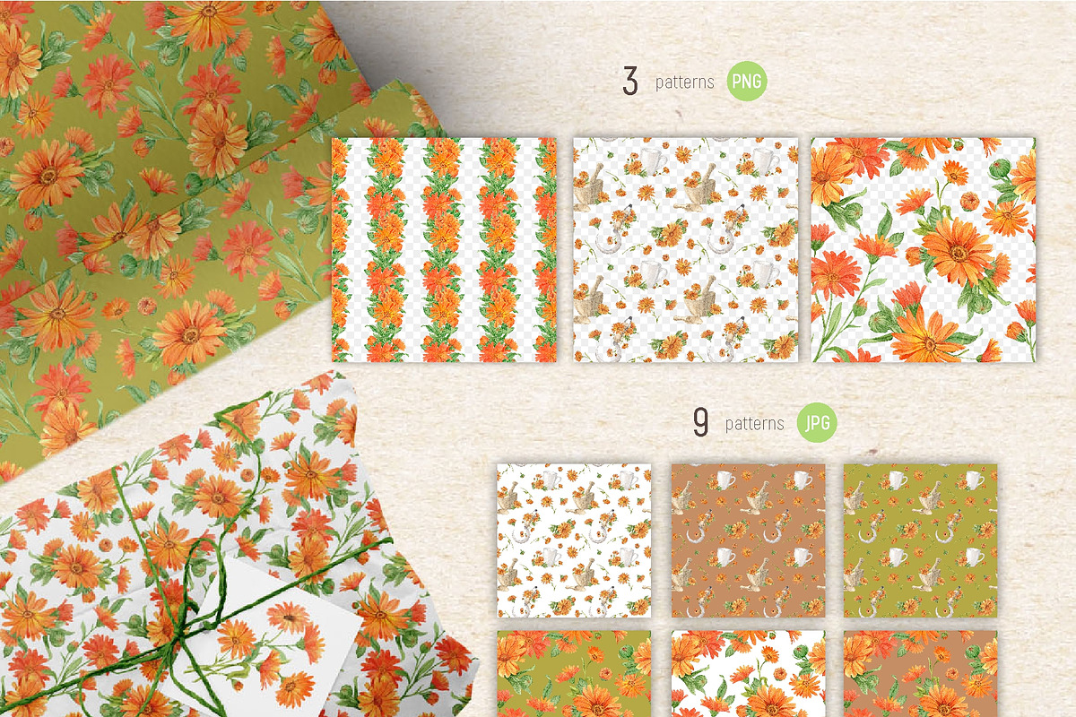 Solar Calendula. Watercolor set, an Illustration by Tata Pilip (Photo 6 of 7)