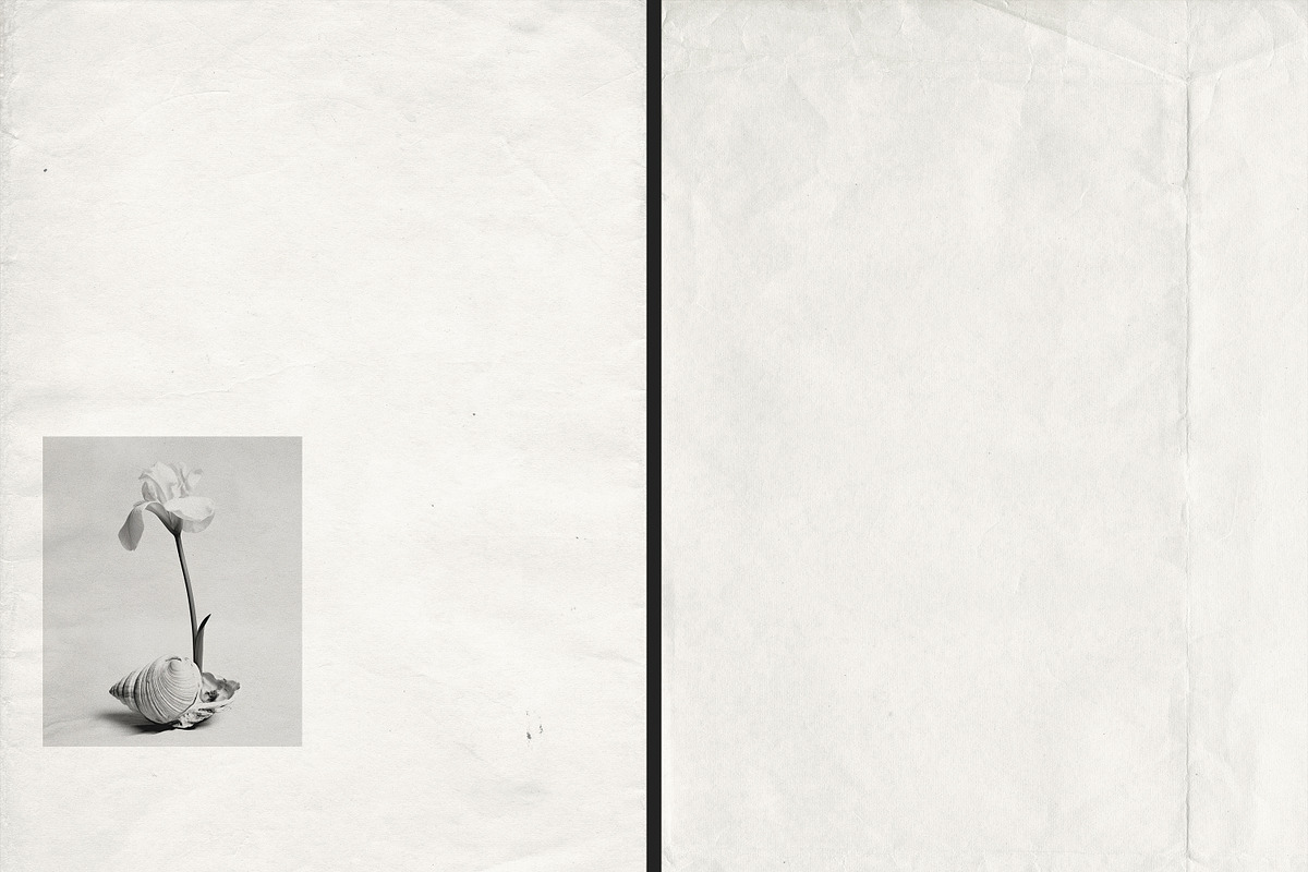 Aged White Vintage Paper, a Texture Graphic by Aesthetic Eye (Photo 10 of 14)