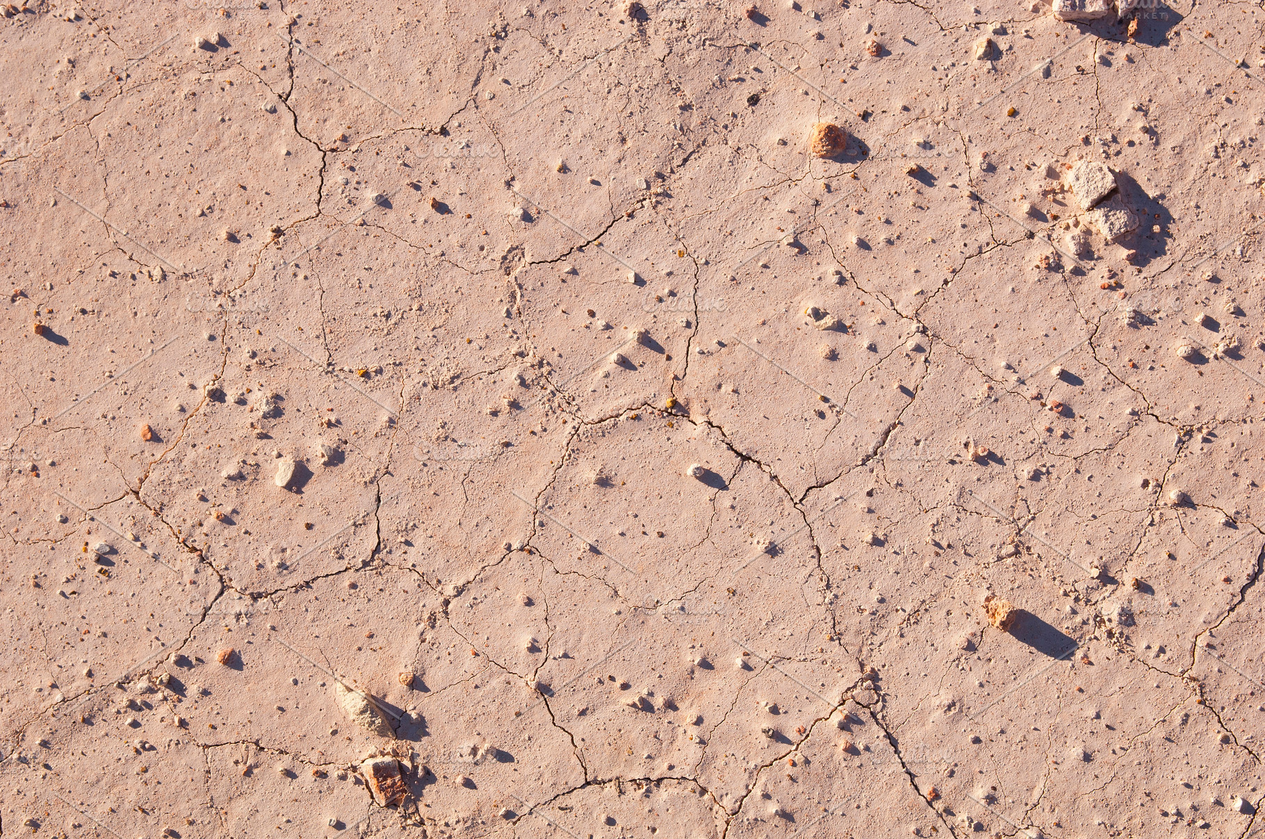 Cracked Ground Background, a Nature Photo by THP Creative