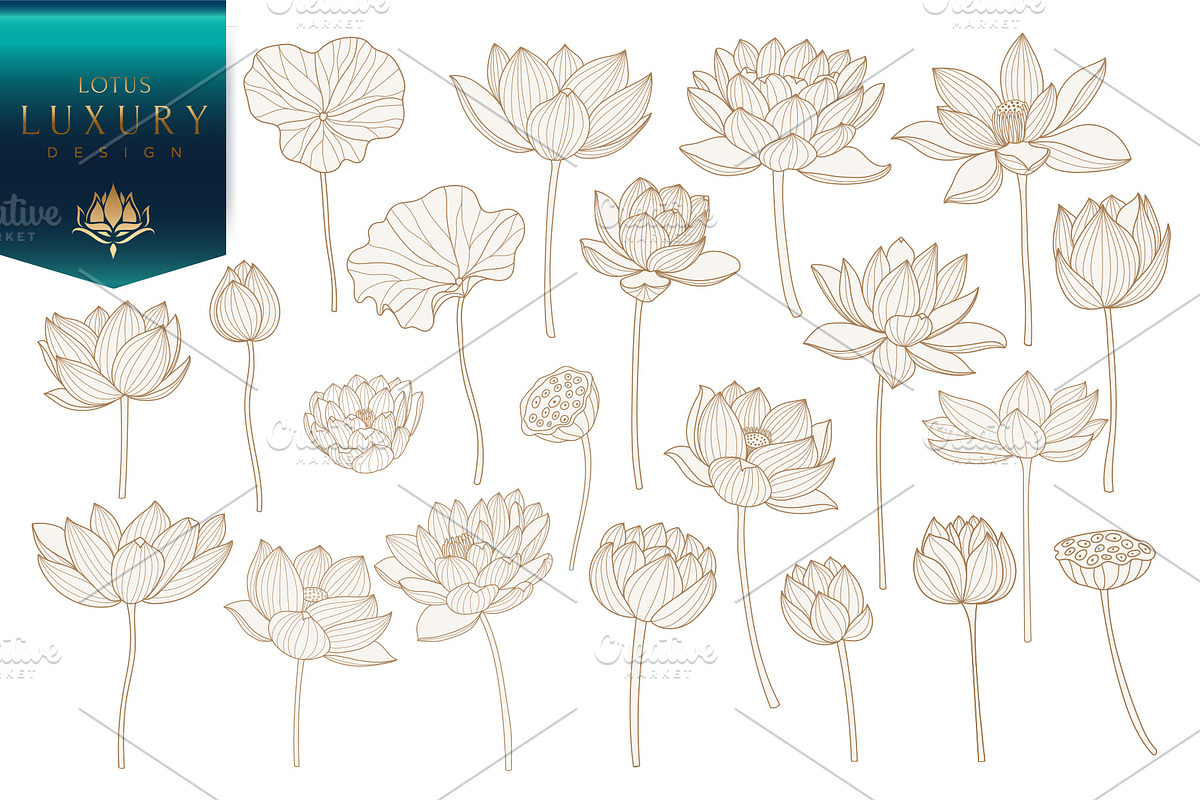 Lotus hand drawn vector set, a Seasonal Illustration by Vectorwins Premium Shop (Photo 1 of 4)