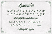 Loemintoe, a Script Font by Typia Nesia (Thumbnail 8 of 10)