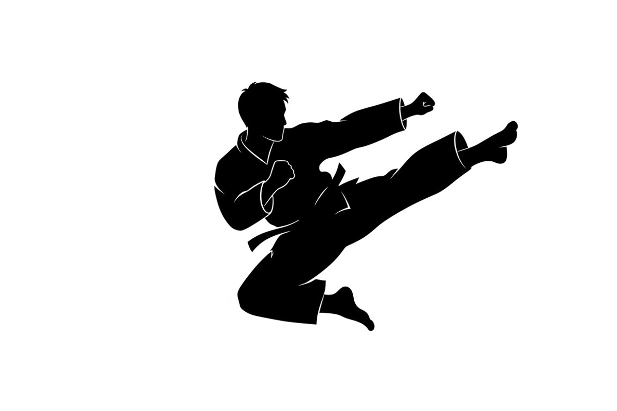 Dynamic martial arts kick silhouette, an Illustration by Amazin_art (Photo 22 of 36)