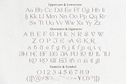 Triangle - Modern Stylis Serif, a Serif Font by Shakira Studio (Thumbnail 16 of 16)