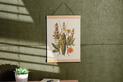 Insects | Vintage posters, a Graphic by katieromanoff_art (Thumbnail 5 of 12)