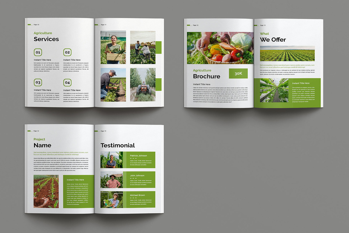 Agriculture Brochure Layout, a Brochure Template by Seeing-art (Photo 11 of 11)