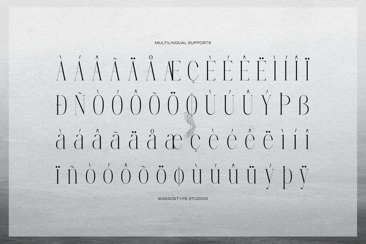 Furigale | Classic Serif, a Serif Font by gracetype_studio (Photo 11 of 12)