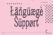 Flyer TM – Distressed Serif, a Serif Font by Type Mania (Thumbnail 9 of 10)