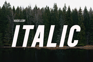 Huckleby Vintage Sans Serif Family