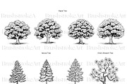 Tree Silhouette Clipart, Bonsai Tree, an Illustration by BrushstrokeArtGB (Thumbnail 3 of 10)