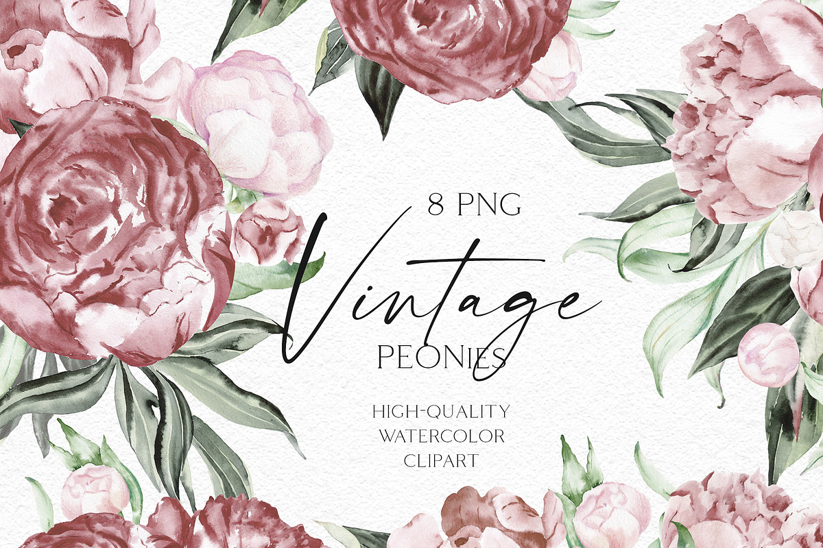 Watercolor Vintage Peonies, an Illustration by Olga Koelsch (Photo 4 of 15)
