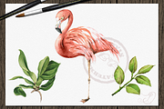 Tropical Big Pack Watercolor Clip, a Decorative Illustration by DioFlow (Thumbnail 8 of 26)