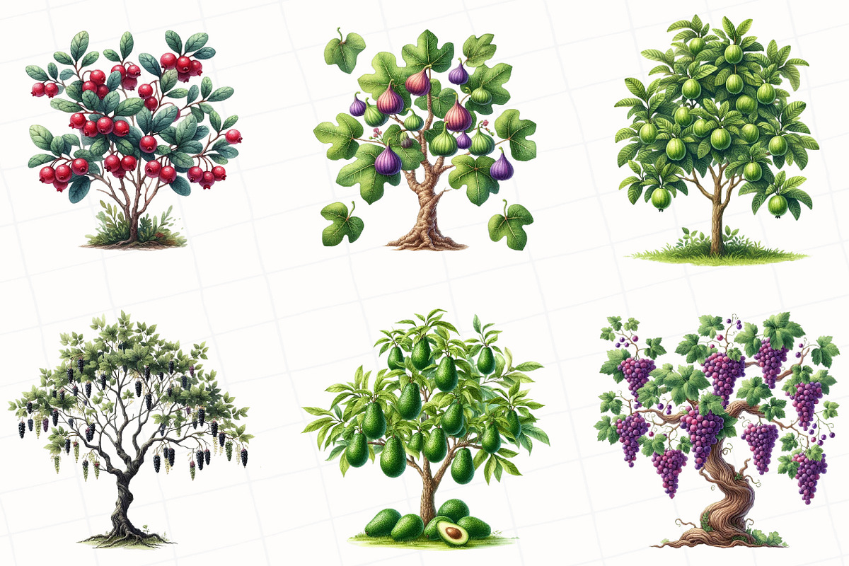 Watercolor Fruit Trees Clipart, an Illustration by OK Design (Photo 3 of 5)