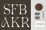 Avander | Modern Stylish, a Serif Font by Muntab_Art (Thumbnail 9 of 13)